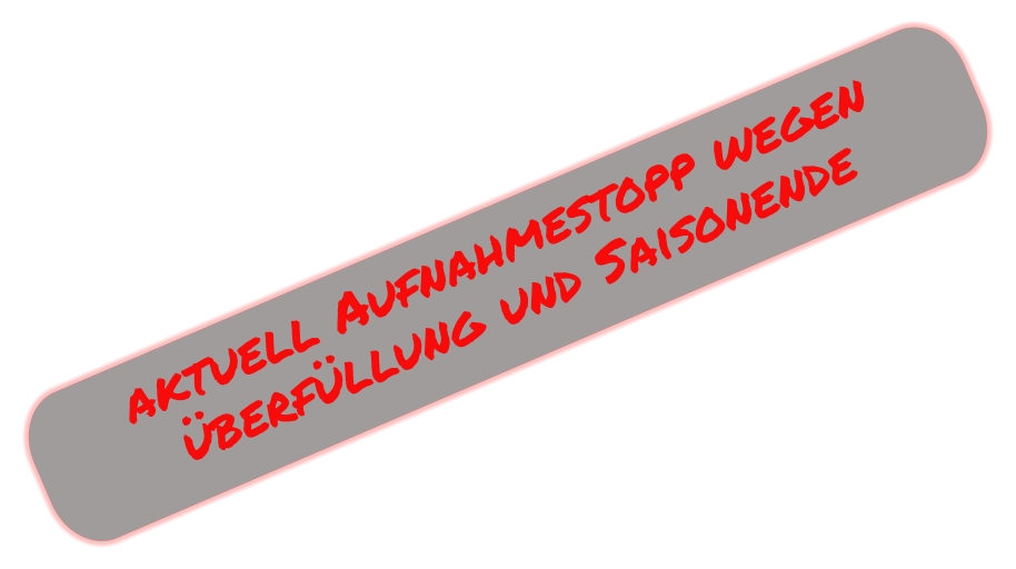 aktuell Aufnahmestopp wegen  überfüllung und Saisonende