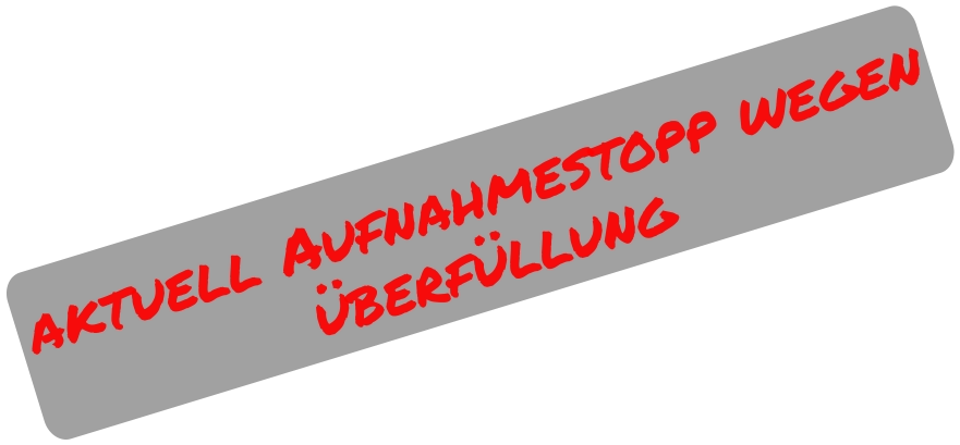 aktuell Aufnahmestopp wegen  überfüllung